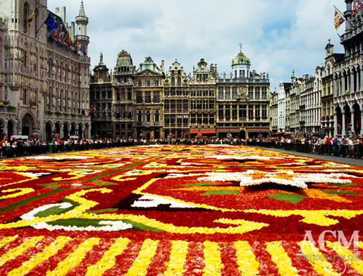 The Flower Carpet in Grand Place, Brussels, Belgium
