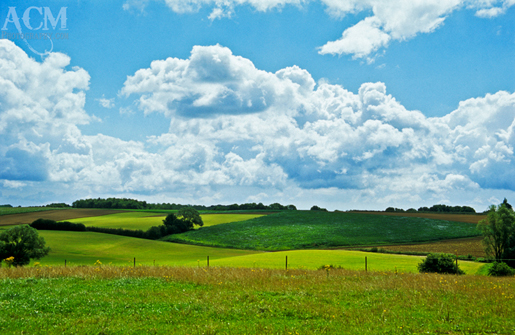 A field in Flanders, Belgium in springtime.