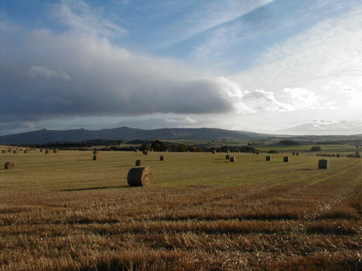 View from the field near our farmhouse in NE Scotland