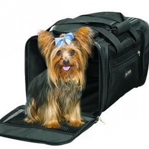 Airlines Pet Carrier
