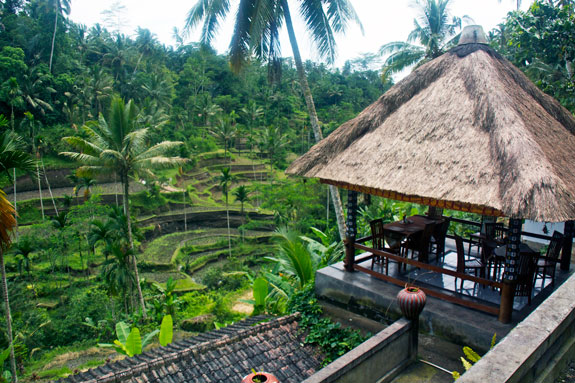 Monday Escape: Ubud, Bali - Expatify